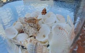 Seashore Residence 5